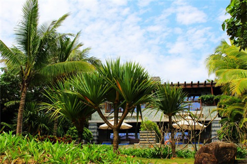 鱼豆吉豆浆鱼火锅