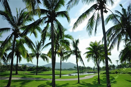 烘焙店自己创业怎么样呢，烘焙开店创业