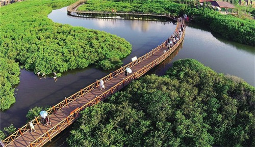 芝麻糊加盟什么项目最赚钱