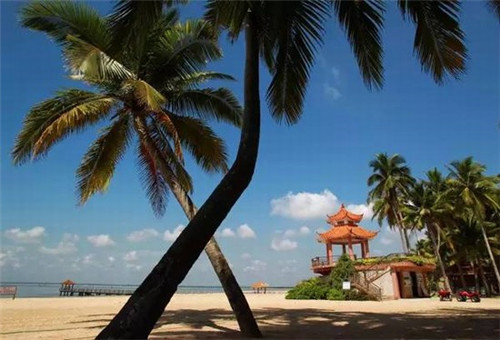 辐射4能单人玩吗手游（辐射4能单人玩吗手游还是端游）