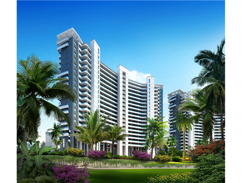 蟹黄蛋炒西红柿的做法（鸡蛋炒蟹黄）