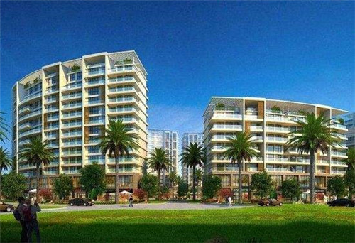 猫咪怎么玩小游戏的（小猫怎样玩）