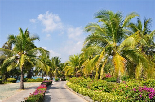 装修如何用龙骨钉子固定（龙骨专用钉可以钉墙上吗）