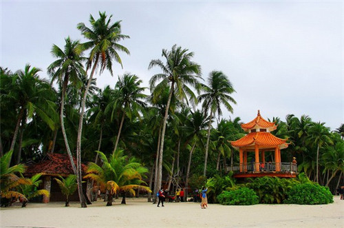 金御皇茶 饮品隶属于哪个公司，加盟店排行前十的品牌有哪些